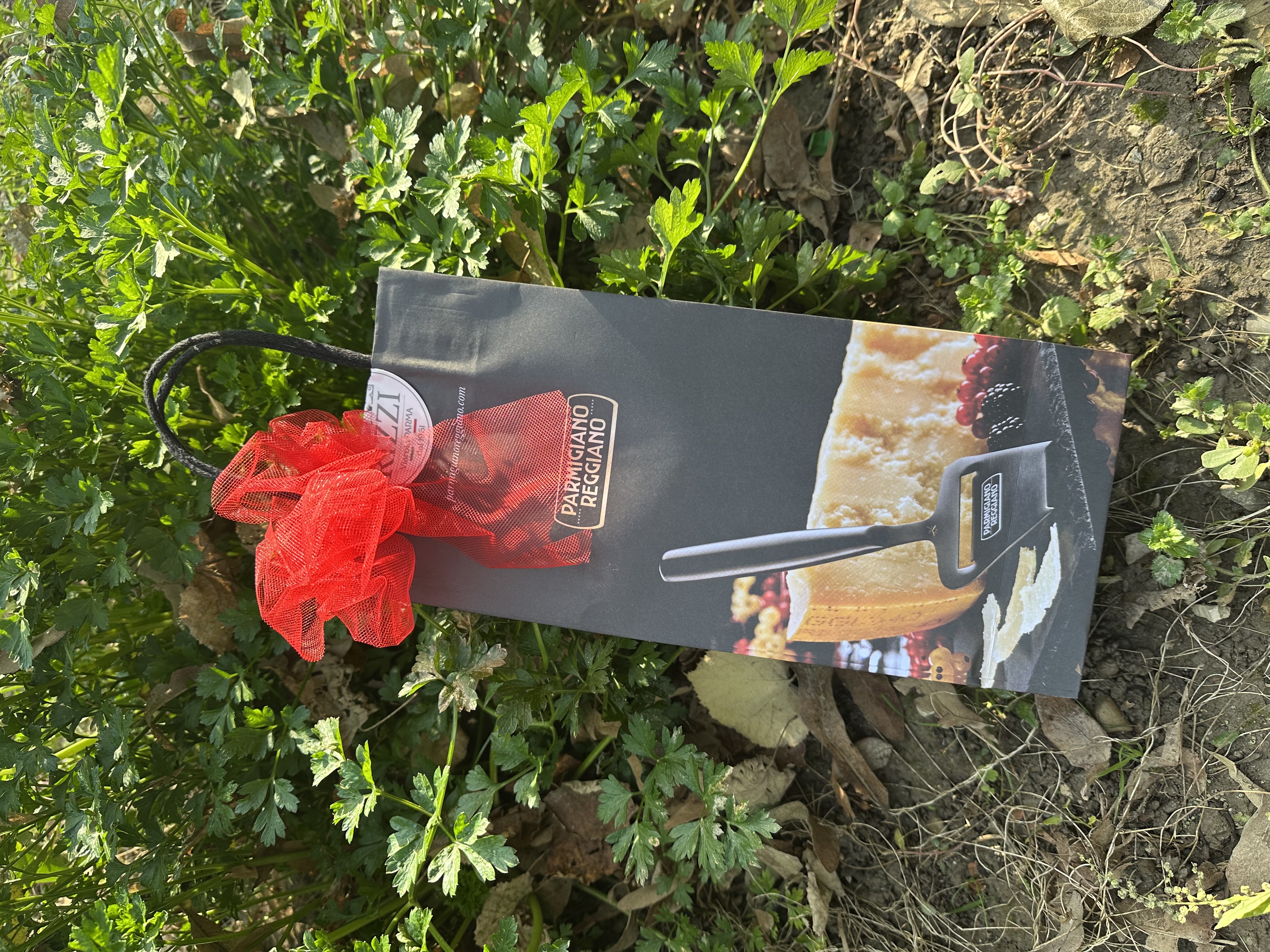 Borsina Regalo Ribes